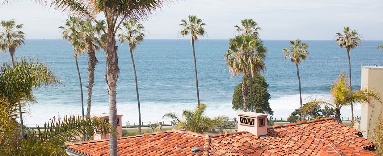 SPRING ON THE COVE