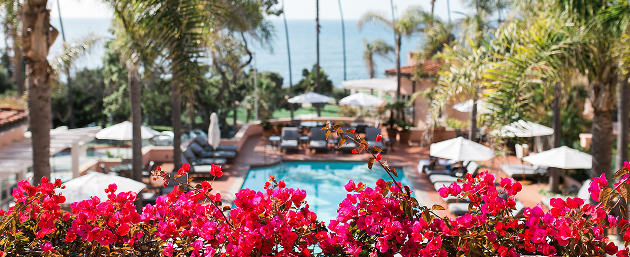 La Valencia Hotel, Safety Protocols