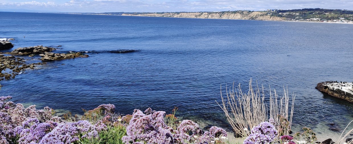 SPRING ON THE COVE