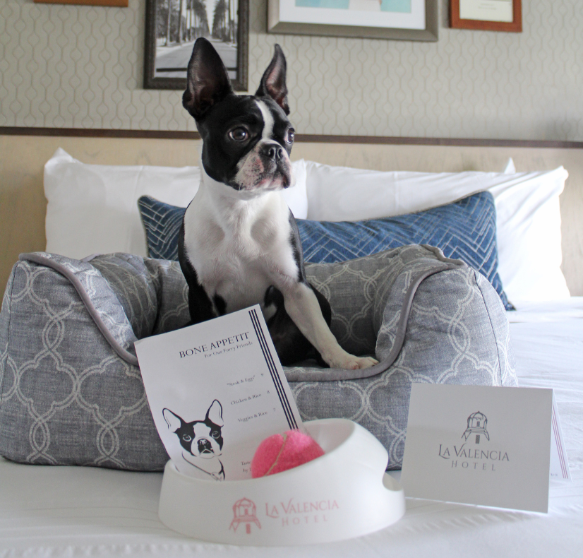 A PetFriendly La Jolla Hotel La Valencia Hotel