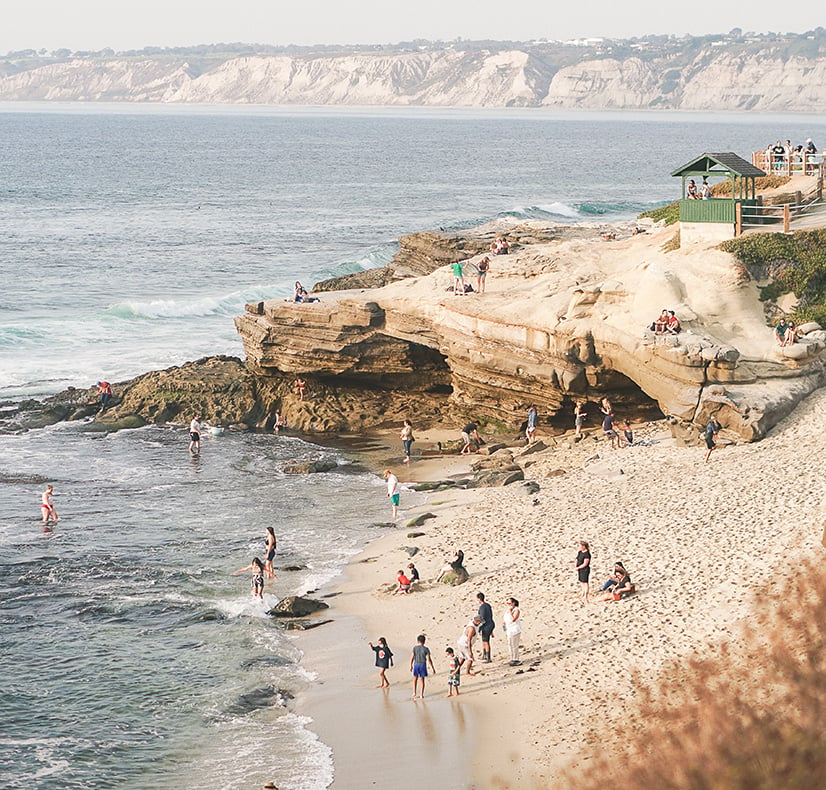 la jolla cove san diego seals